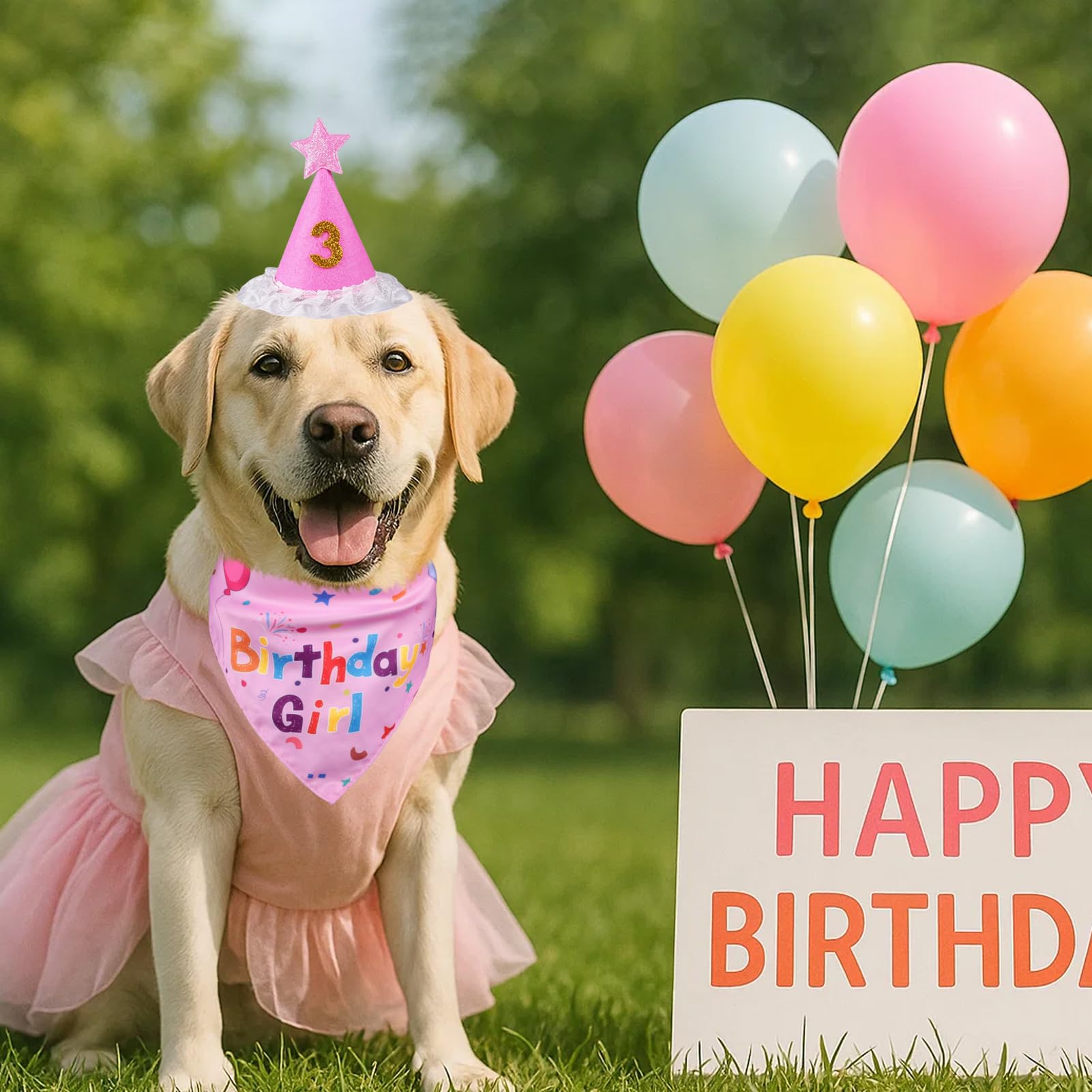 Fotos y celebraciones con perro feliz, ideal para recuerdos