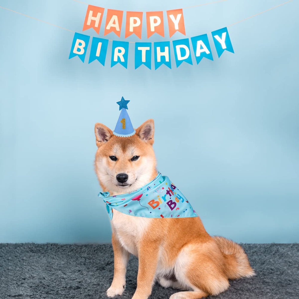 Regalo ideal para cumpleaños de perros, para fotos y celebraciones.