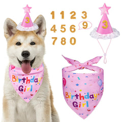 Sombrero de cumpleaños Yicostar para perro con números, perfecto para fotos.