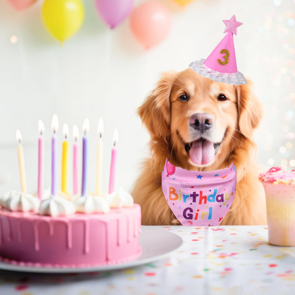 Medidas grandes para perros XXL, cuello de hasta 29 pulgadas