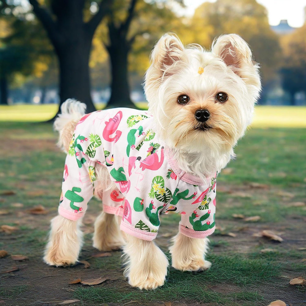 Yikeyo pijama para perro pequeño, perfecto para dormir o salir de paseo.