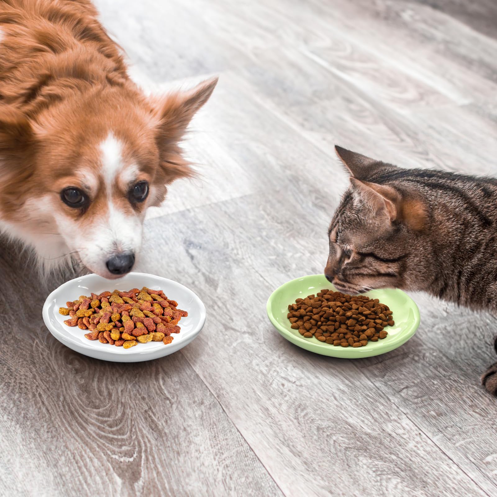 Perfecto para comida húmeda o agua de mascotas pequeñas.