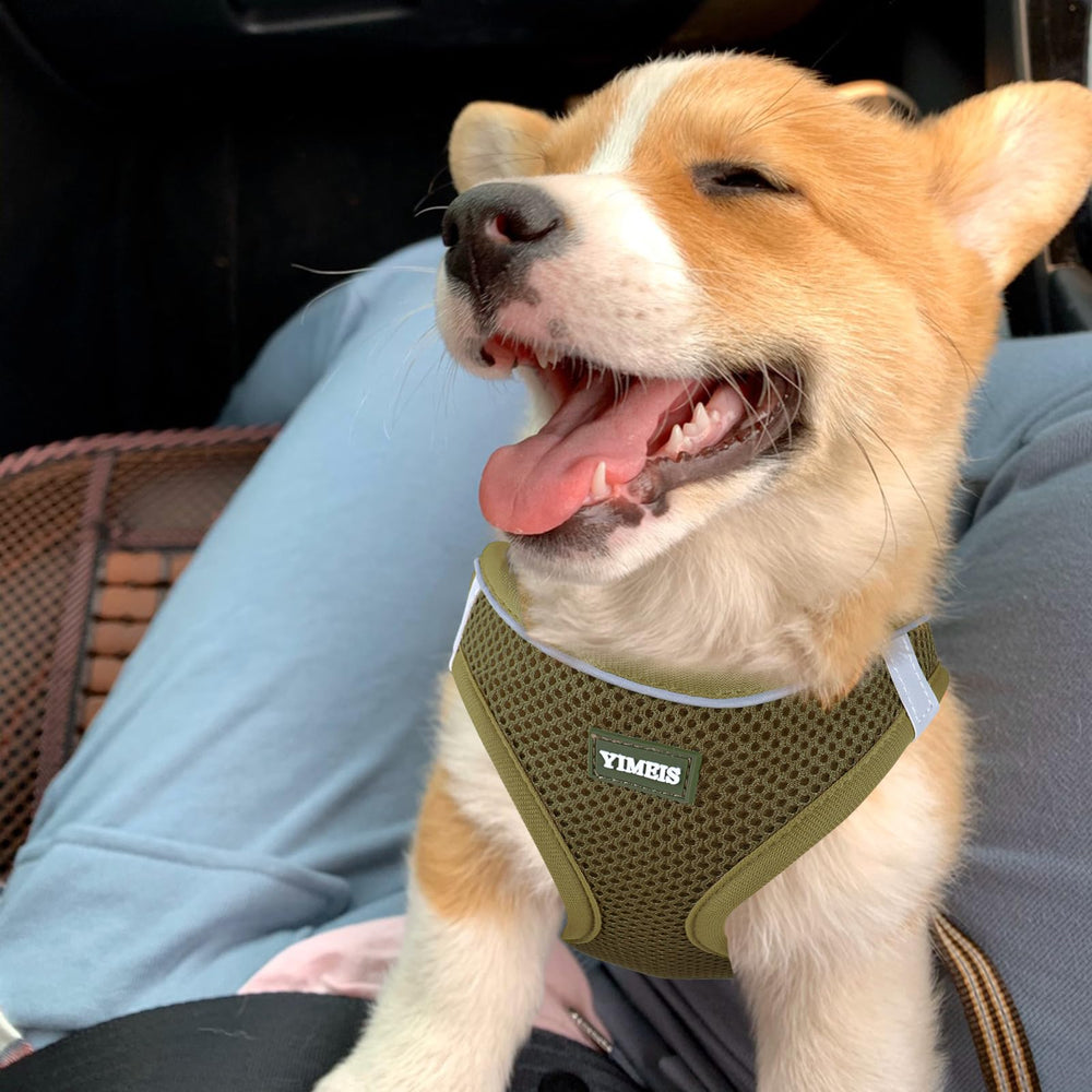 YIMEIS arnés perro malla aire verde army X-Small para paseos diarios