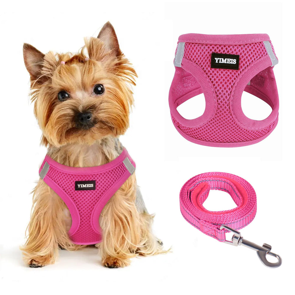 Arnés YIMEIS para perro pequeño, vista frontal, cómodo para paseos diarios.