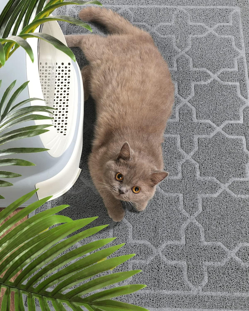 Yimobra alfombrilla para arena de gato, capa impermeable evita humedad fuera de la caja.