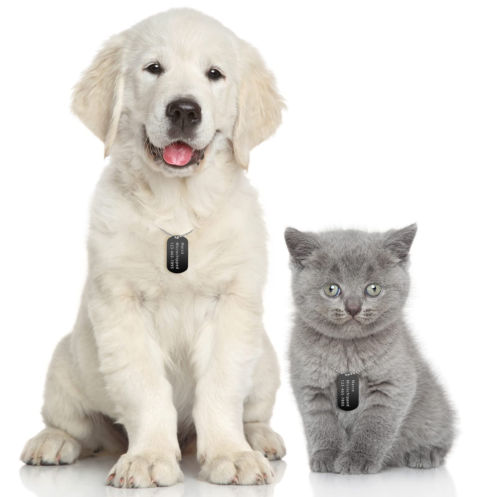 Placas para perro de 50x29 mm para uso diario