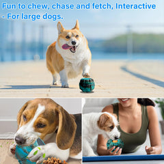 Yipetor bola-interactiva-perro-jugando, mejora inteligencia con juego