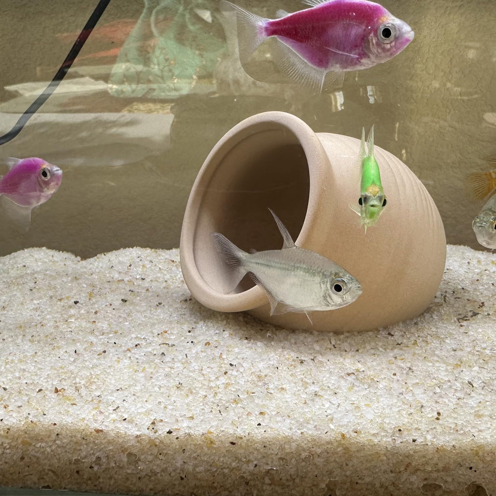 Arena beige de YISZM, limpieza fácil y sedimentación rápida para agua clara