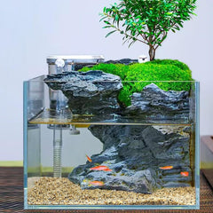 Piedras YISZM para drenaje de plantas, mejor manejo del exceso de agua.