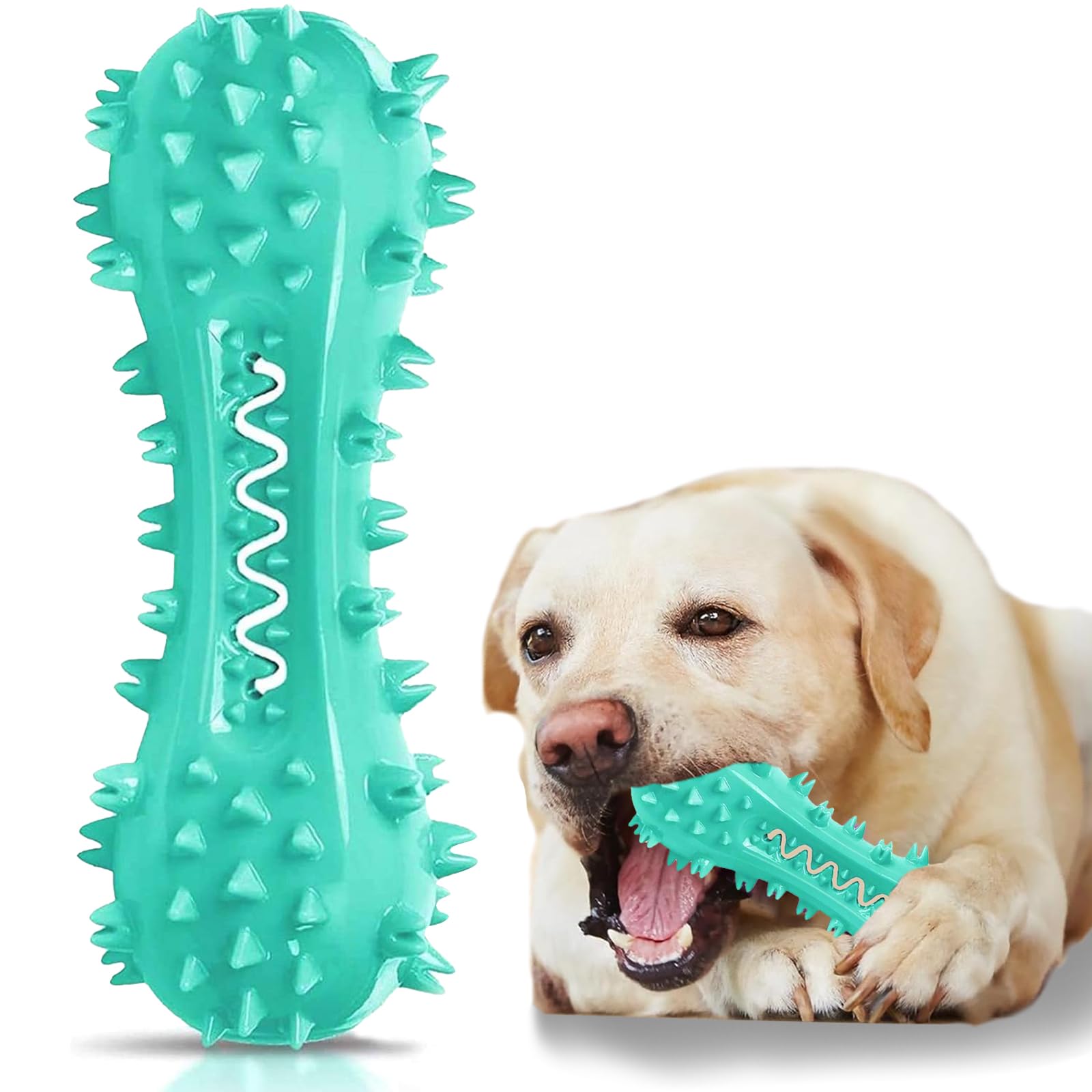 Juguete dental Yivgeoi para perros, enfoque dientes para limpieza diaria.