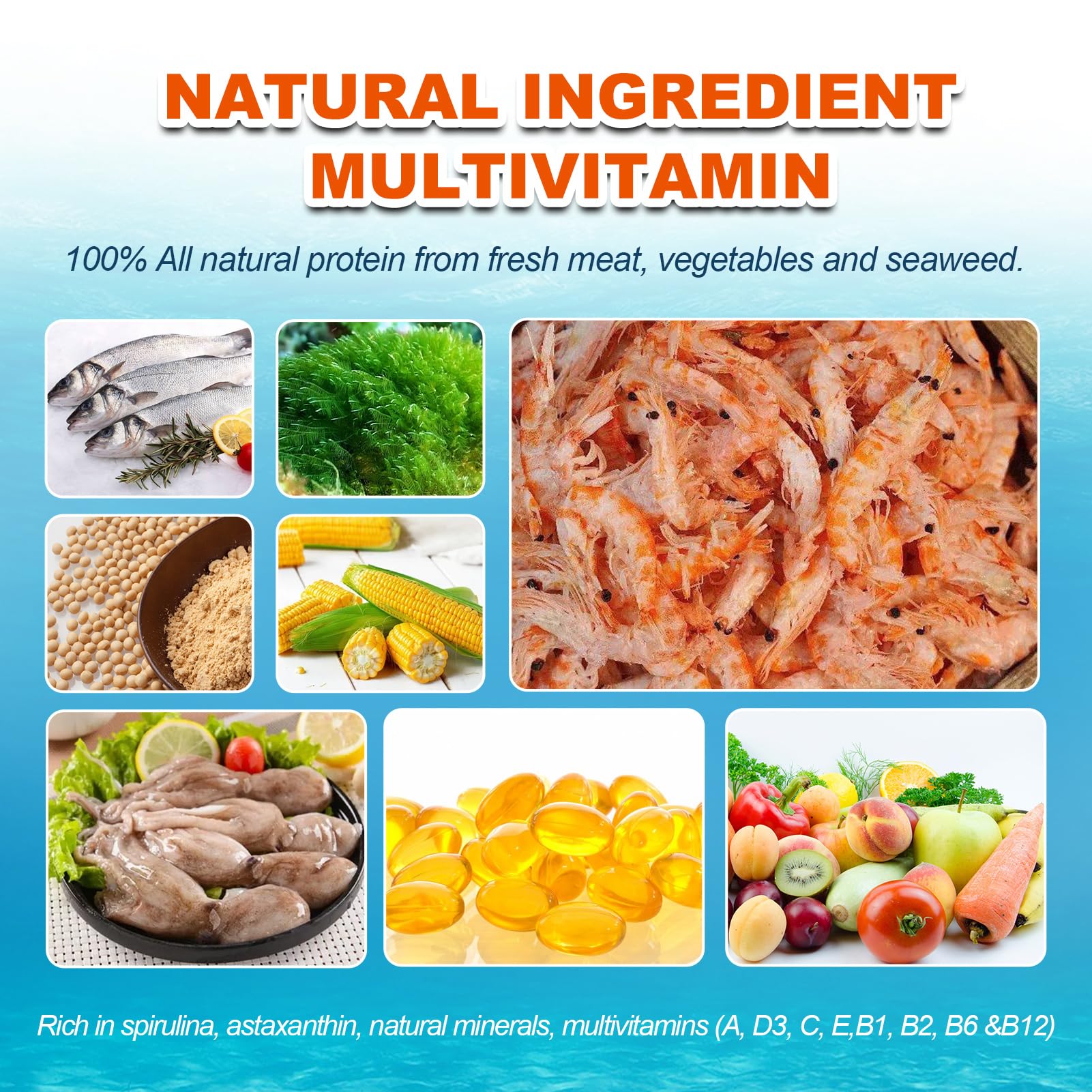 Yizeril Betta: krill antártico para nutrición balanceada y vitalidad.