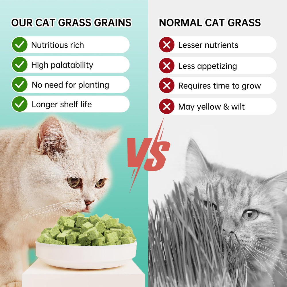 Yizeril 80 g de hierba para gatos: uso diario y recompensa