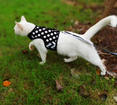 Arnés acolchado para gato Yizhi Miaow, comodidad en caminatas.