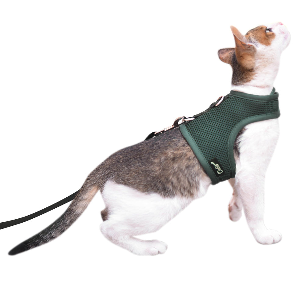 Arnés para gato YIZHI MIAOW ajustable en malla transpirable para paseos seguros