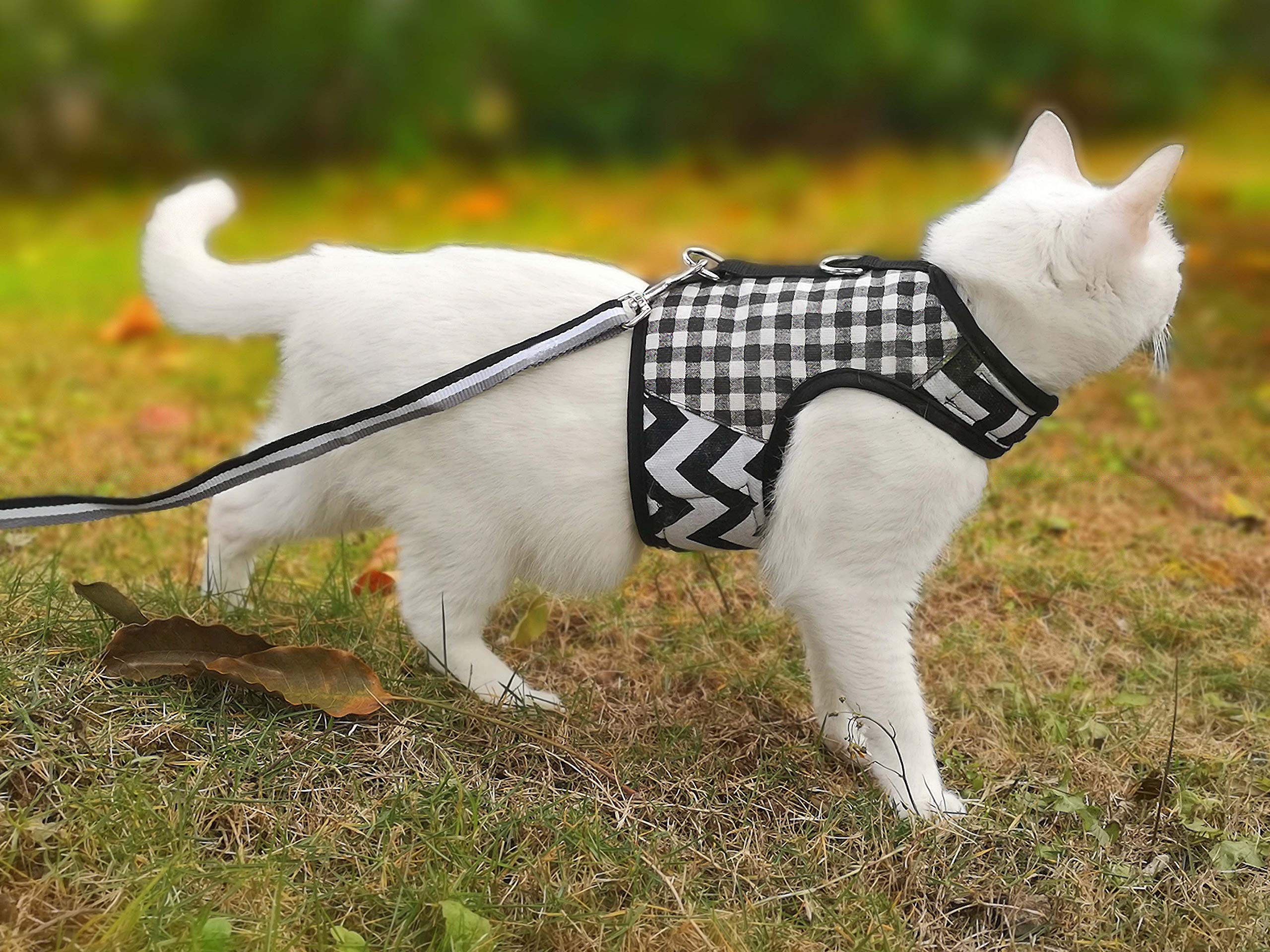 Arnés ajustable YIZHI MIAOW para gato, talla segura se adapta al cuerpo