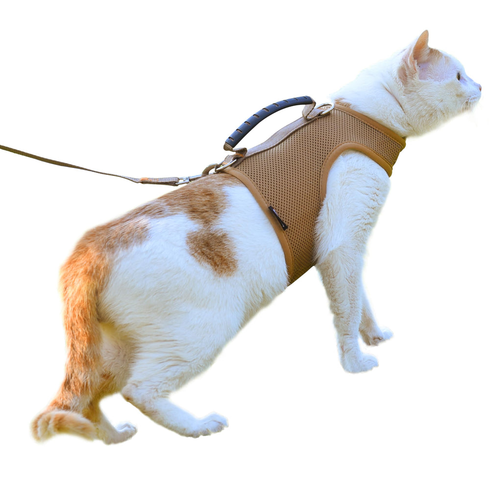 Arnés YIZHI MIAOW para gatos; ajuste cómodo para paseos seguros.