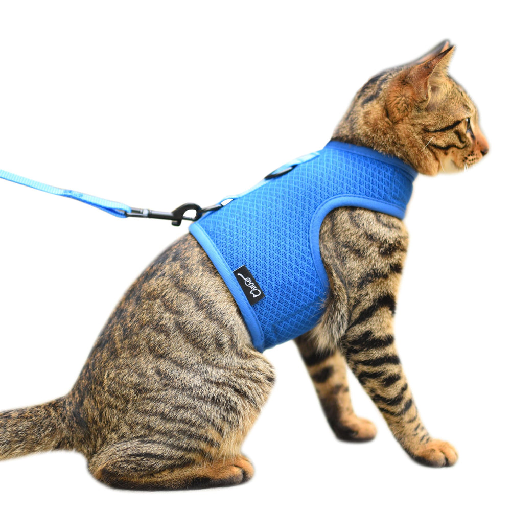 Arnés para gato YIZHI MIAOW con ajuste cómodo para paseos seguros.