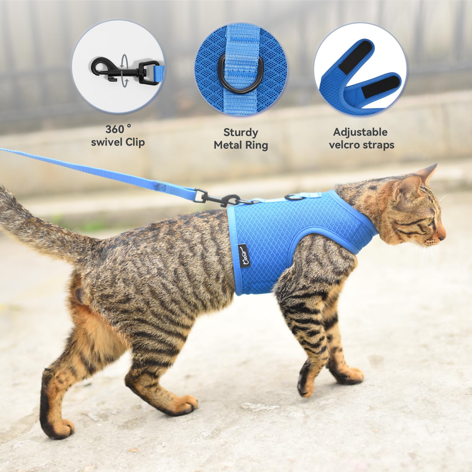 Diseño ligero y ergonómico para uso diario en gatos.