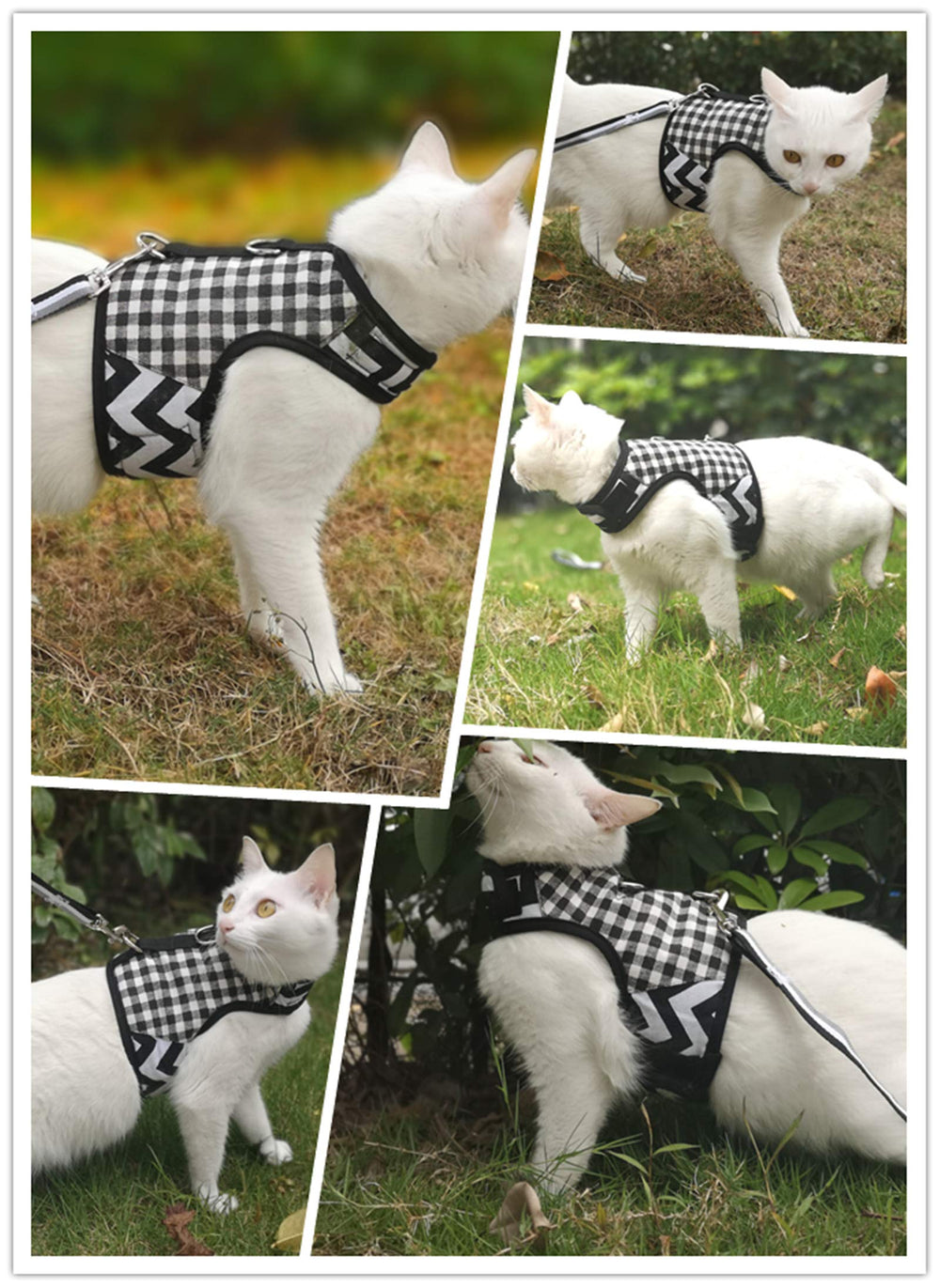 Arnés gato estampado cuadros negro, combinación de seguridad y estética para cada salida
