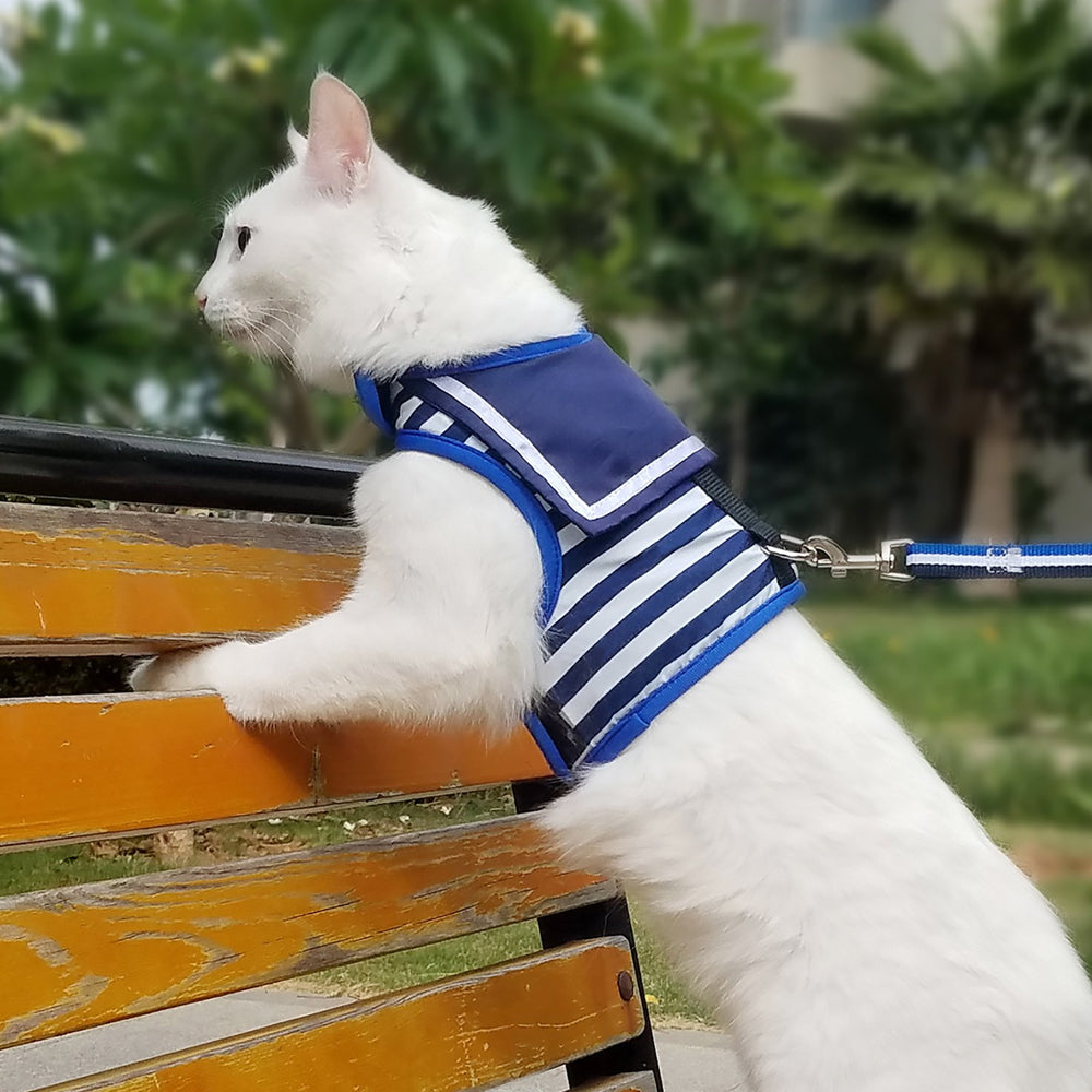 YIZHI MIAOW arnés gato forro acolchado para mayor confort de la piel.