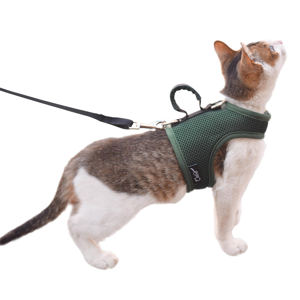 Arnés YIZHI MIAOW para gato con malla transpirable, cómodo y seguro para paseos.