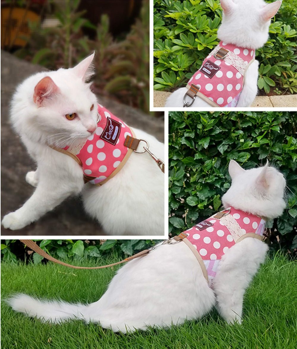 Gato paseando con arnés YIZHI MIAOW en rosa, ideal para exterior