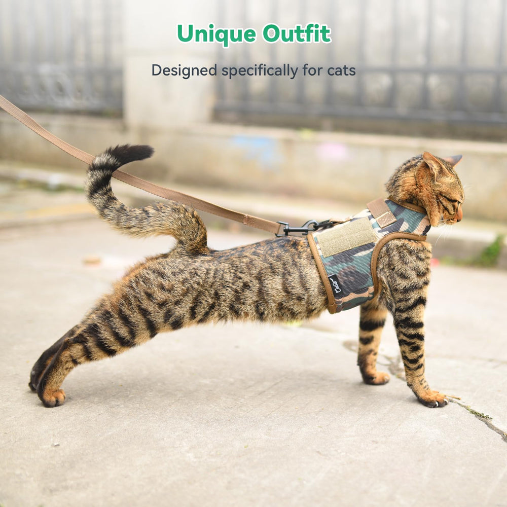 Guía de entrenamiento Yizhi Miaow para gatos disponible.