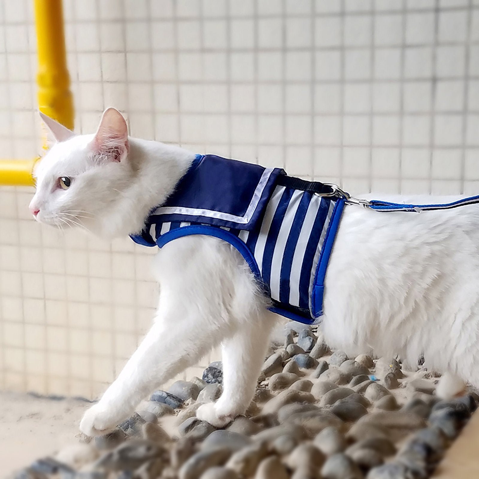 Guía de entrenamiento en video YIZHI MIAOW para paseos tranquilos