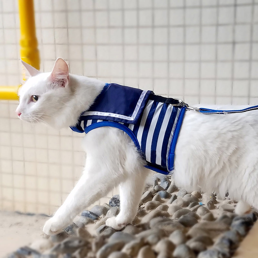 Guía de entrenamiento en video YIZHI MIAOW para paseos tranquilos