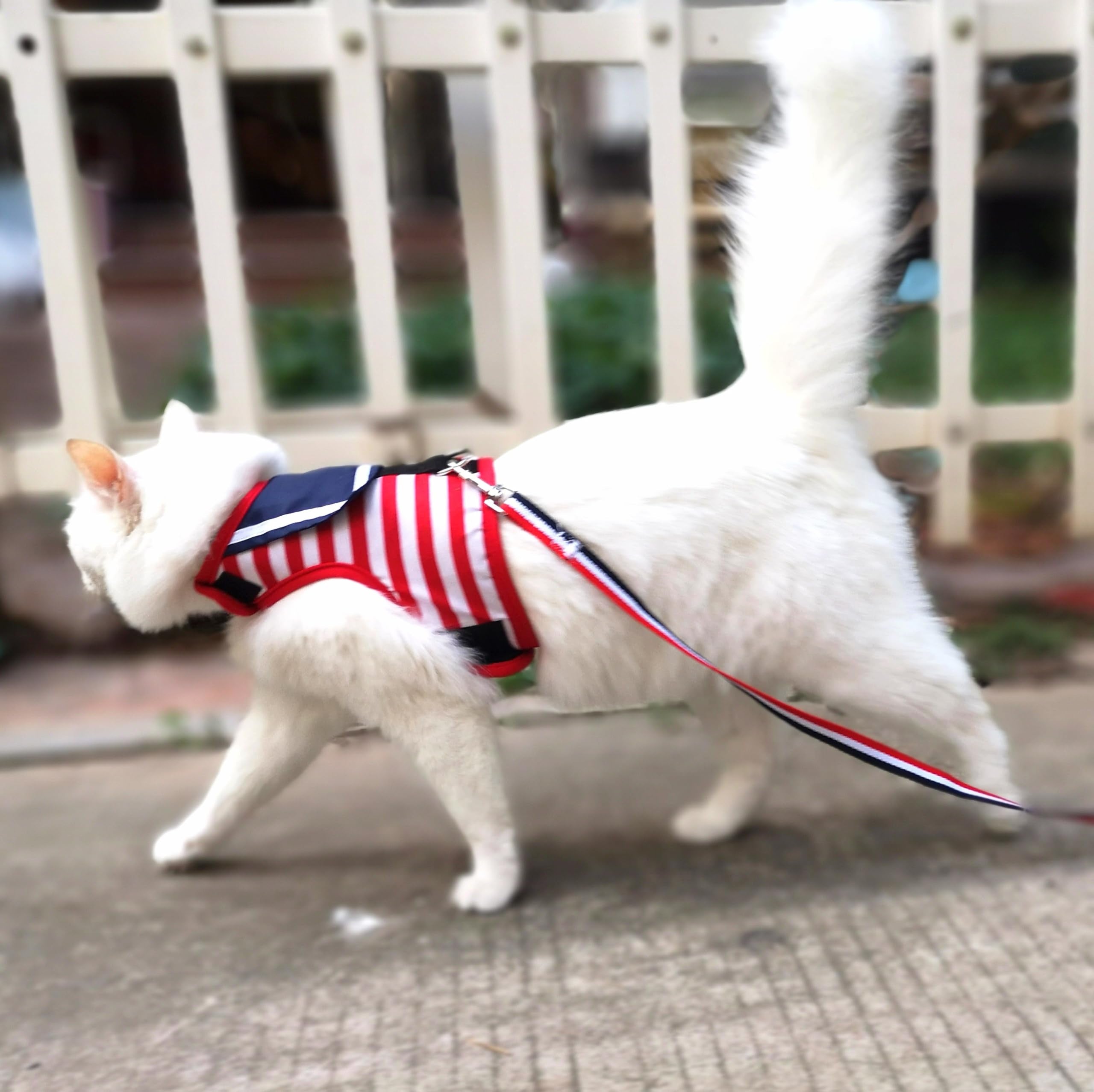 Material suave de YIZHI MIAOW para piel sensible