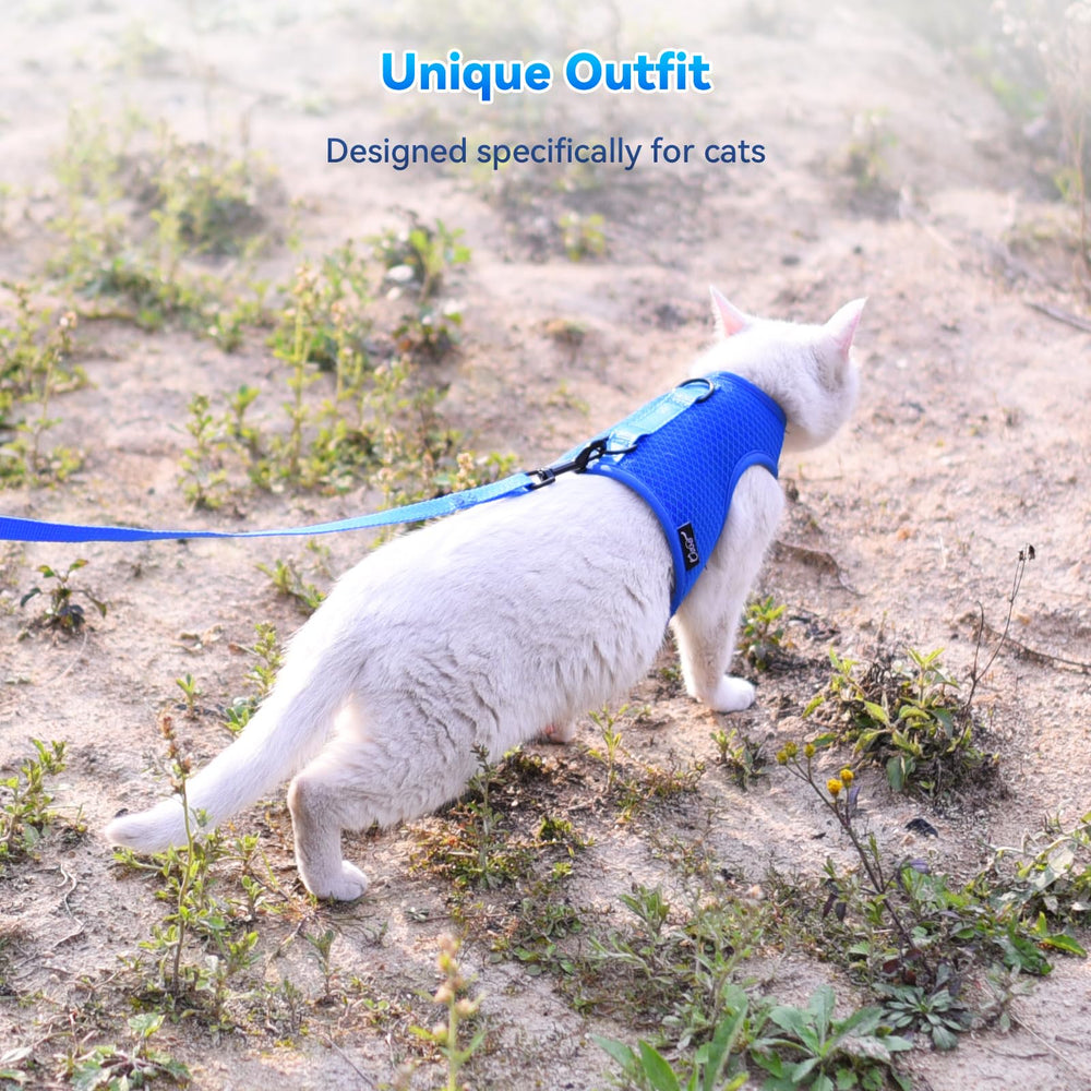 Paseo al aire libre con arnés YIZHI MIAOW para gato.
