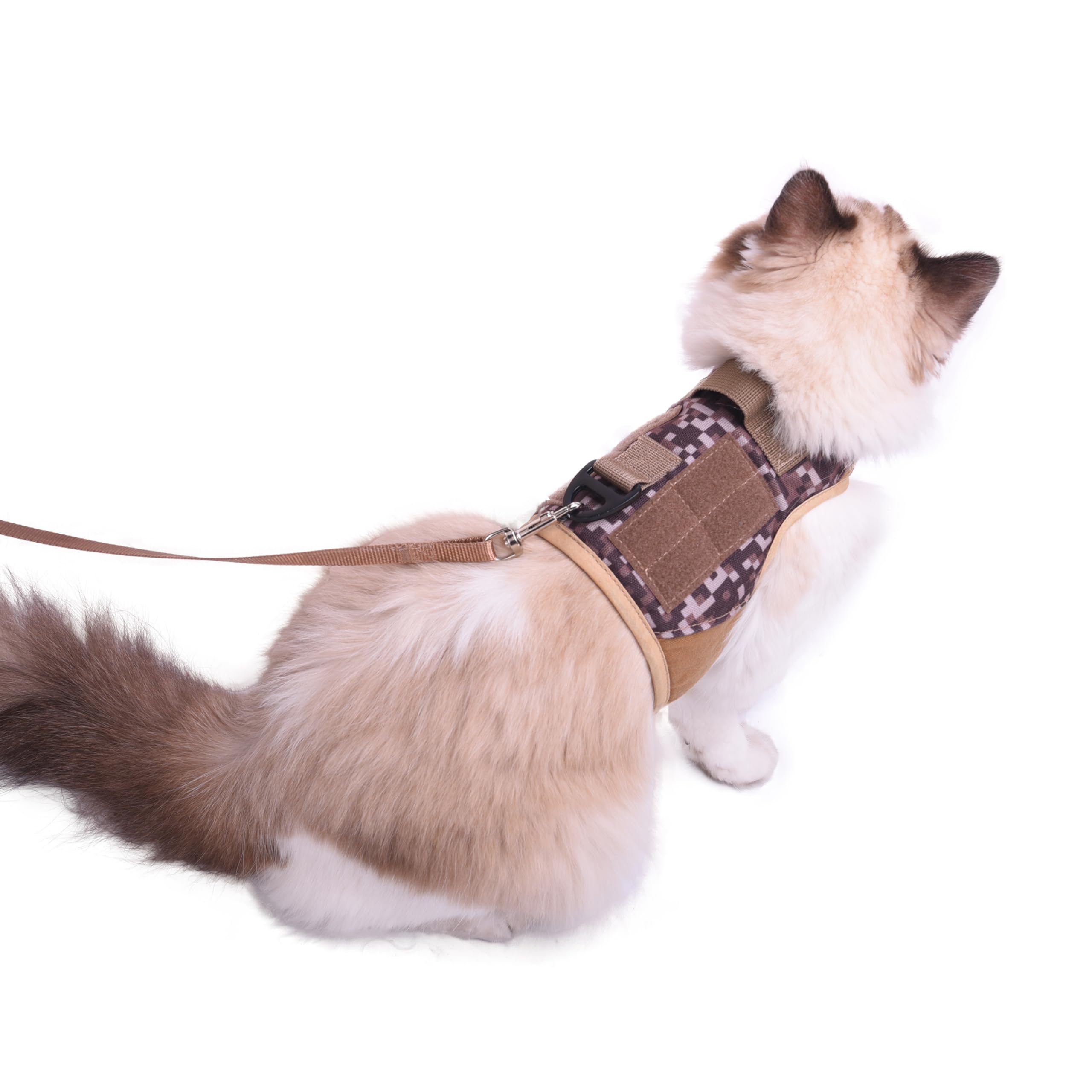 Demostración de uso de YIZHI MIAOW para paseos con gato en clima frío