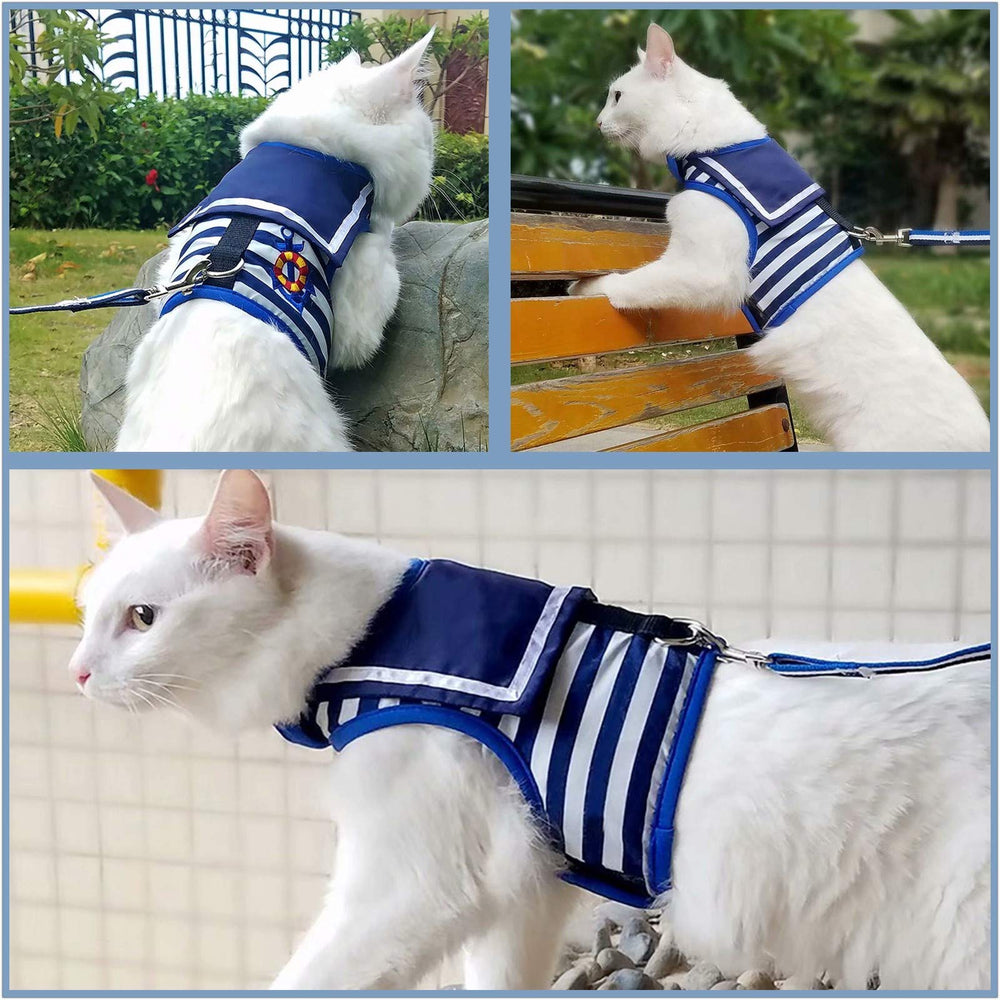 YIZHI MIAOW videos de entrenamiento para usar el arnés de gato.