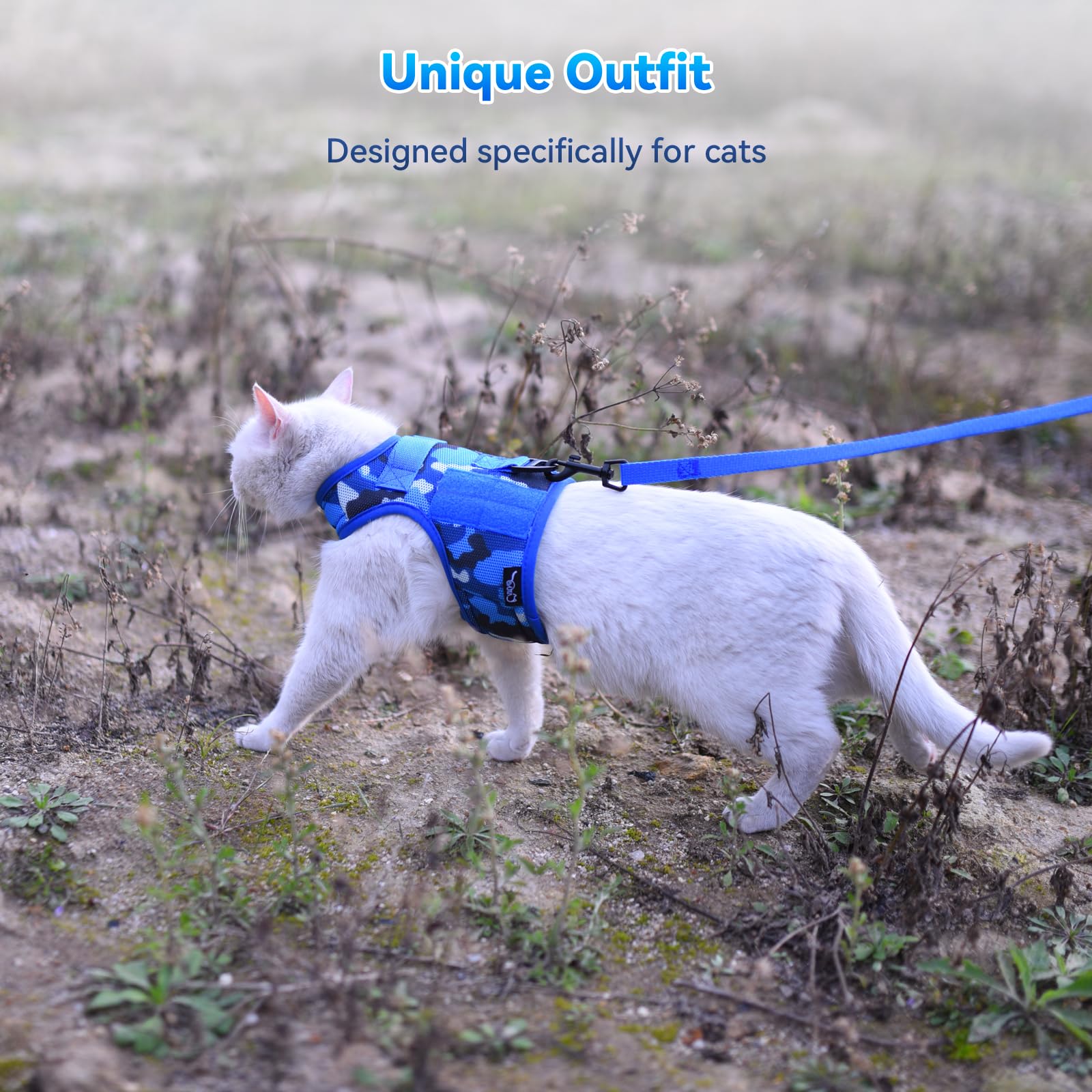 Videos de entrenamiento de YIZHI MIAOW disponibles para guiarte