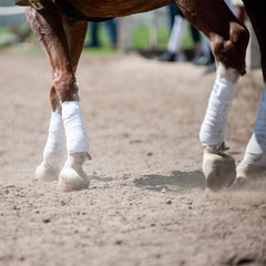 Y.J TAILS envolturas de polo en negro con ajuste seguro y velcro