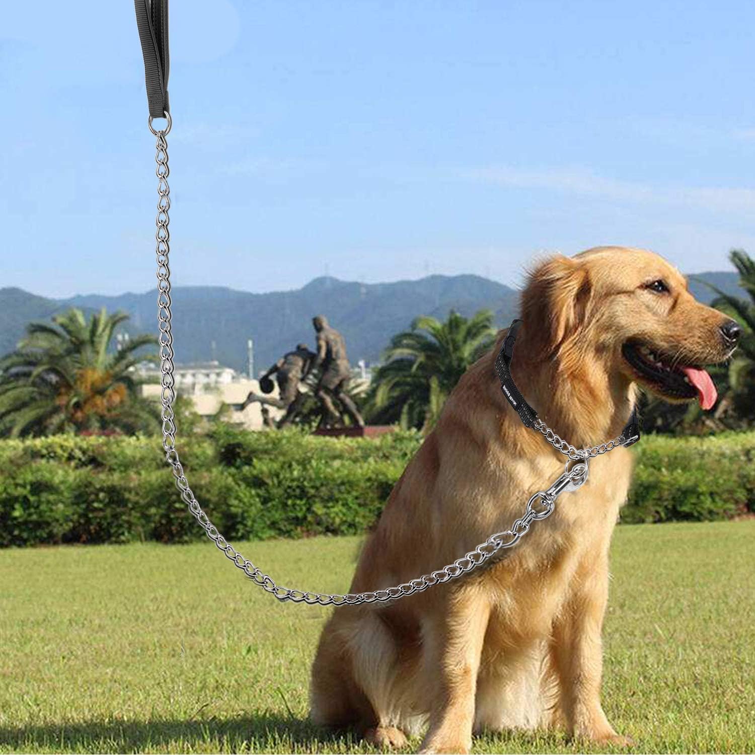 YKISIL: diseño apto para perros grandes y medianos.