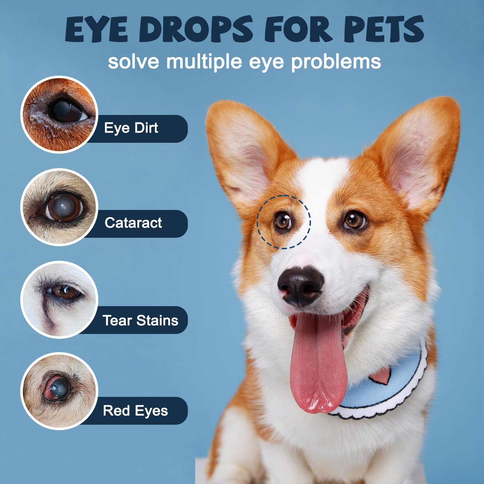 Aplicación fácil de Yocisku para perros, cuidado ocular rápido