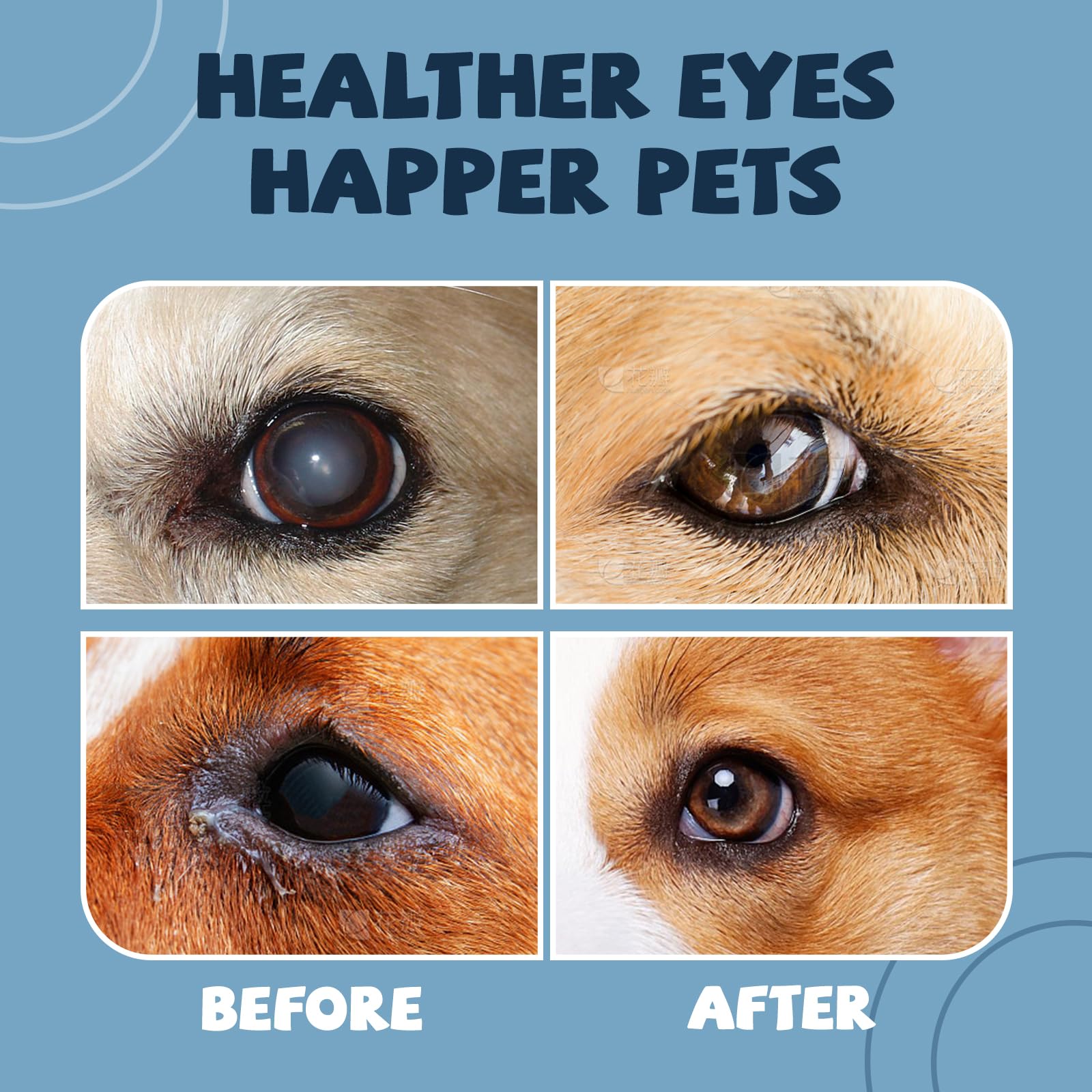 Hidratación ocular diaria con Yocisku para perros, alivio suave