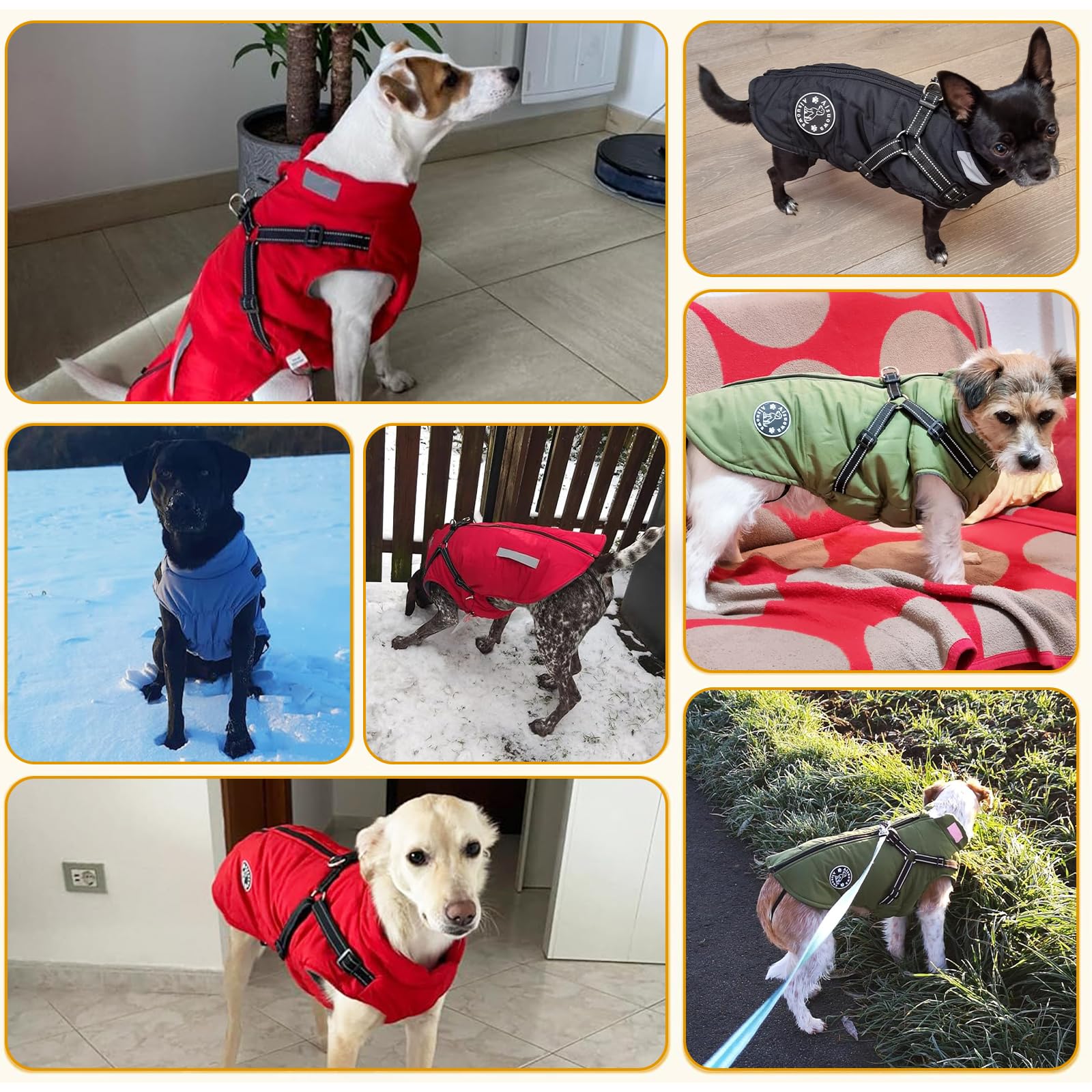Chaleco Yoheueoa para perro material impermeable que mantiene seca a la mascota.