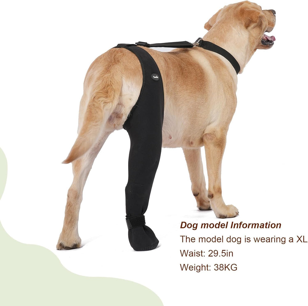 Botitas Yoneba para perros que previenen lamidos de patas