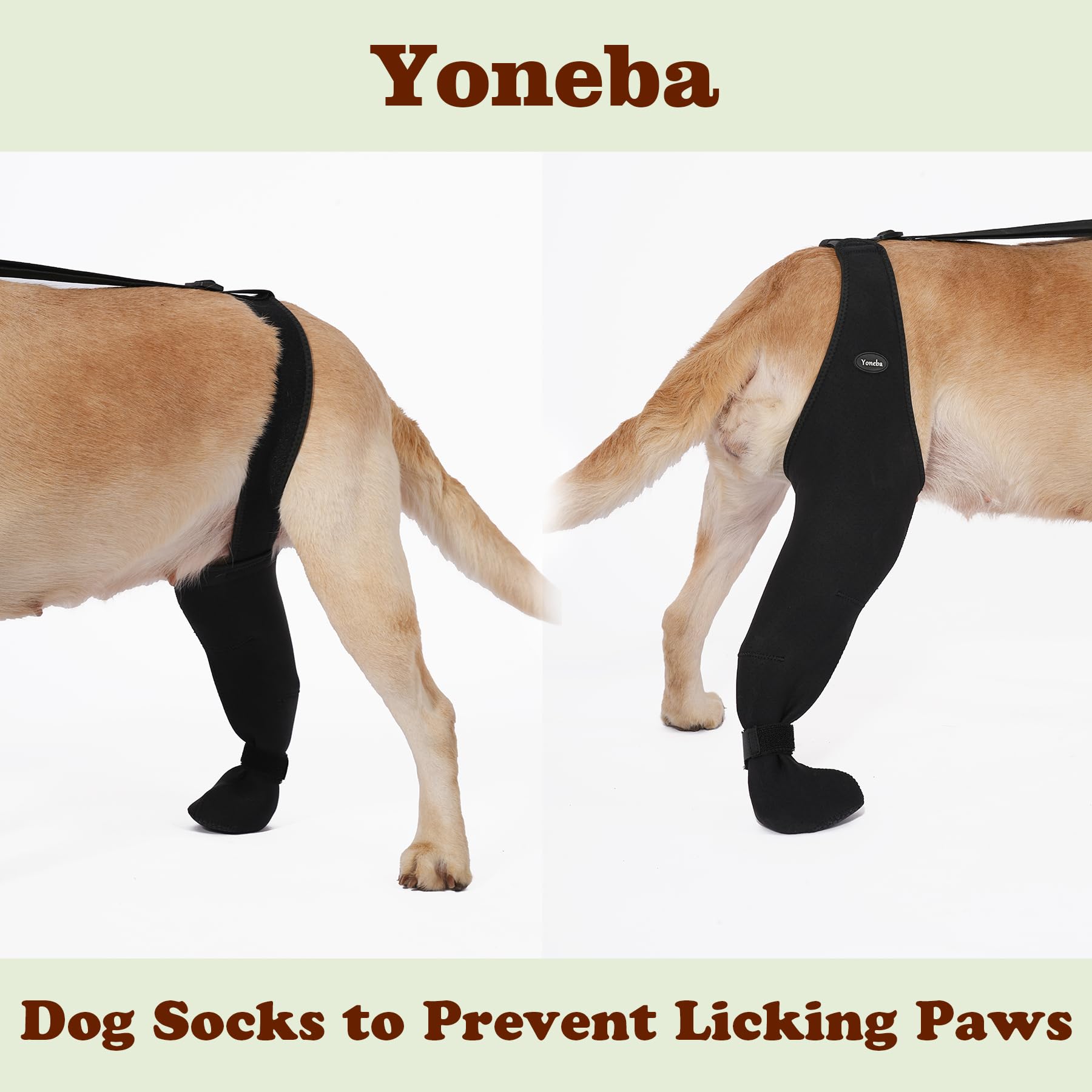 Calcetines Yoneba transpirables para perros, patitas secas y confort.