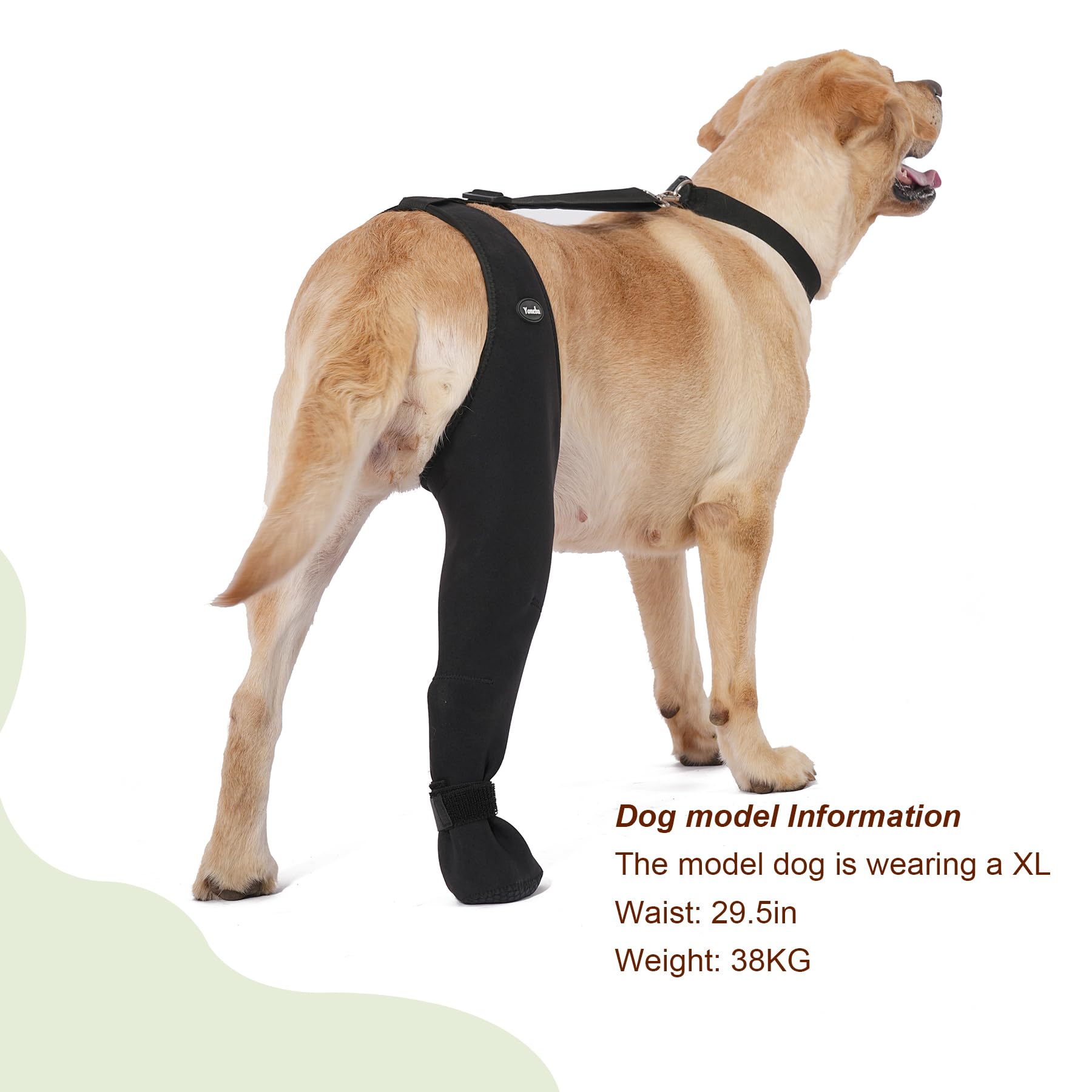 Tallas ajustables de Yoneba para perros, izquierda o derecha.