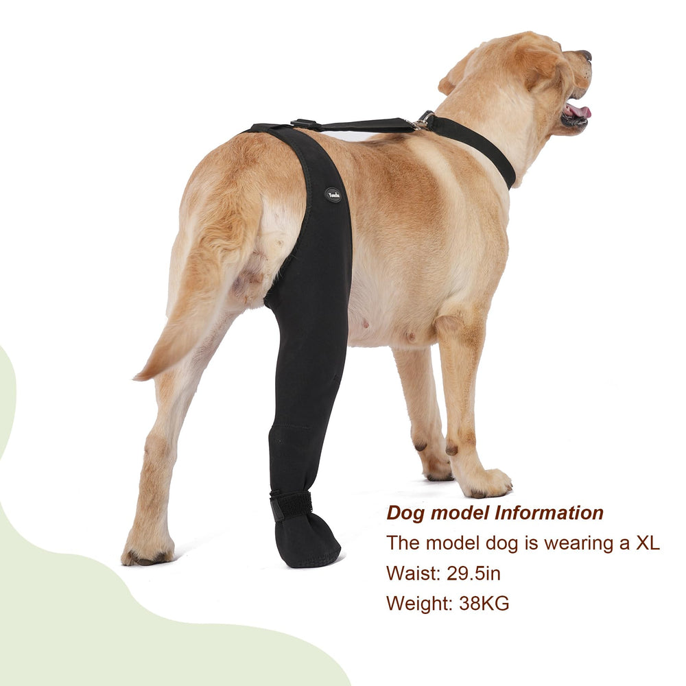 Tallas ajustables de Yoneba para perros, izquierda o derecha.