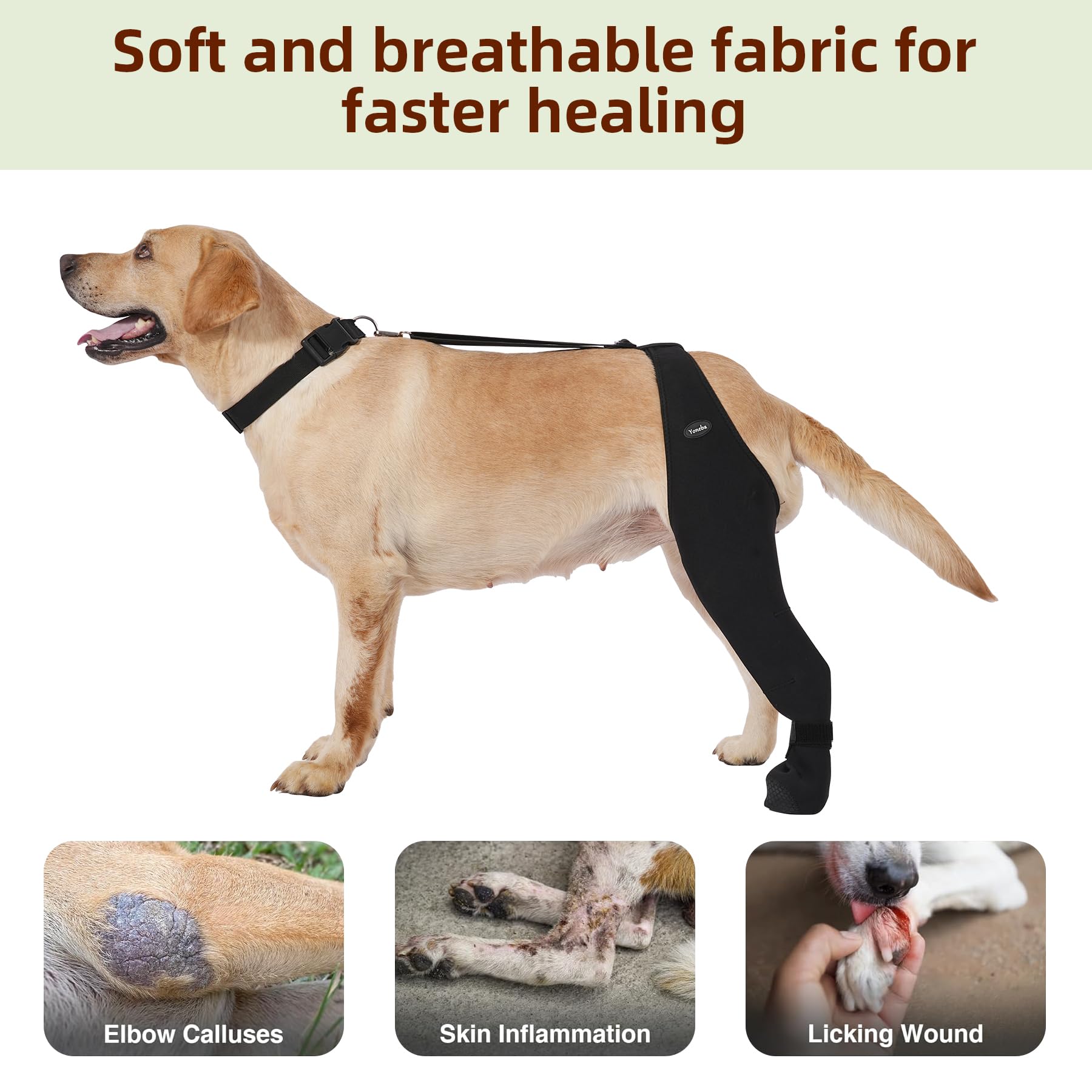 Tallas variadas Yoneba 2XL derecha: ajuste para perros grandes.
