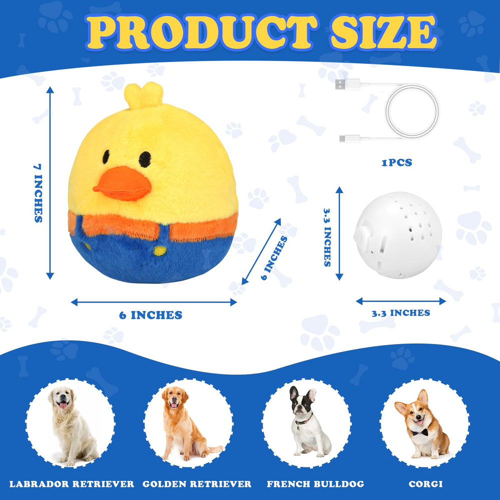 Regalo ideal para perros masticadores yonlit, divertido y práctico.