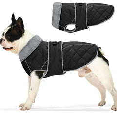 Yoochee abrigo para perro: exterior impermeable para paseos bajo lluvia