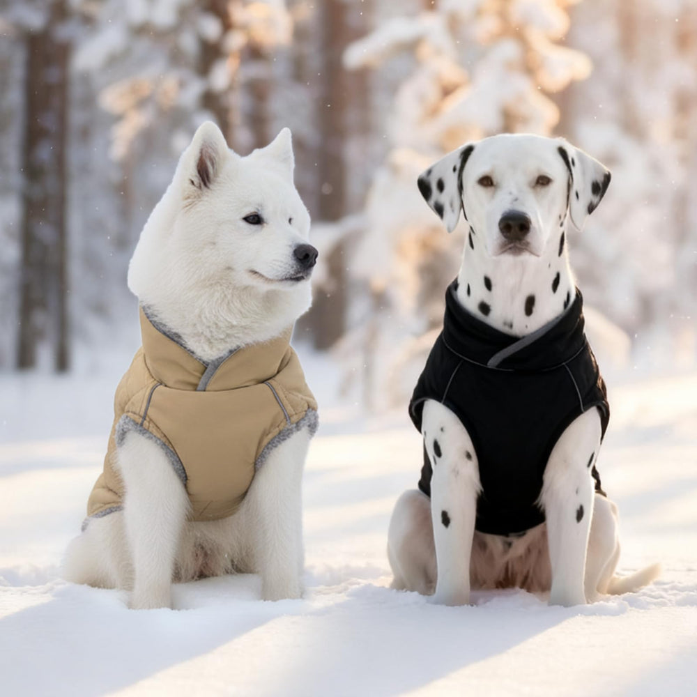 Yoochee abrigo para perro: protección completa en días fríos y lluviosos