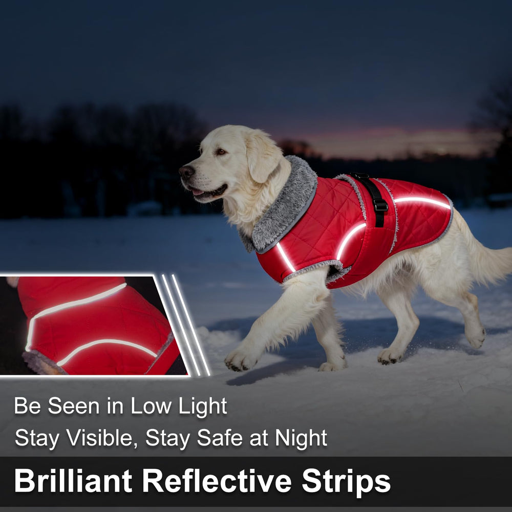 Yoochee abrigo para perro: tiras reflectantes para mayor visibilidad nocturna