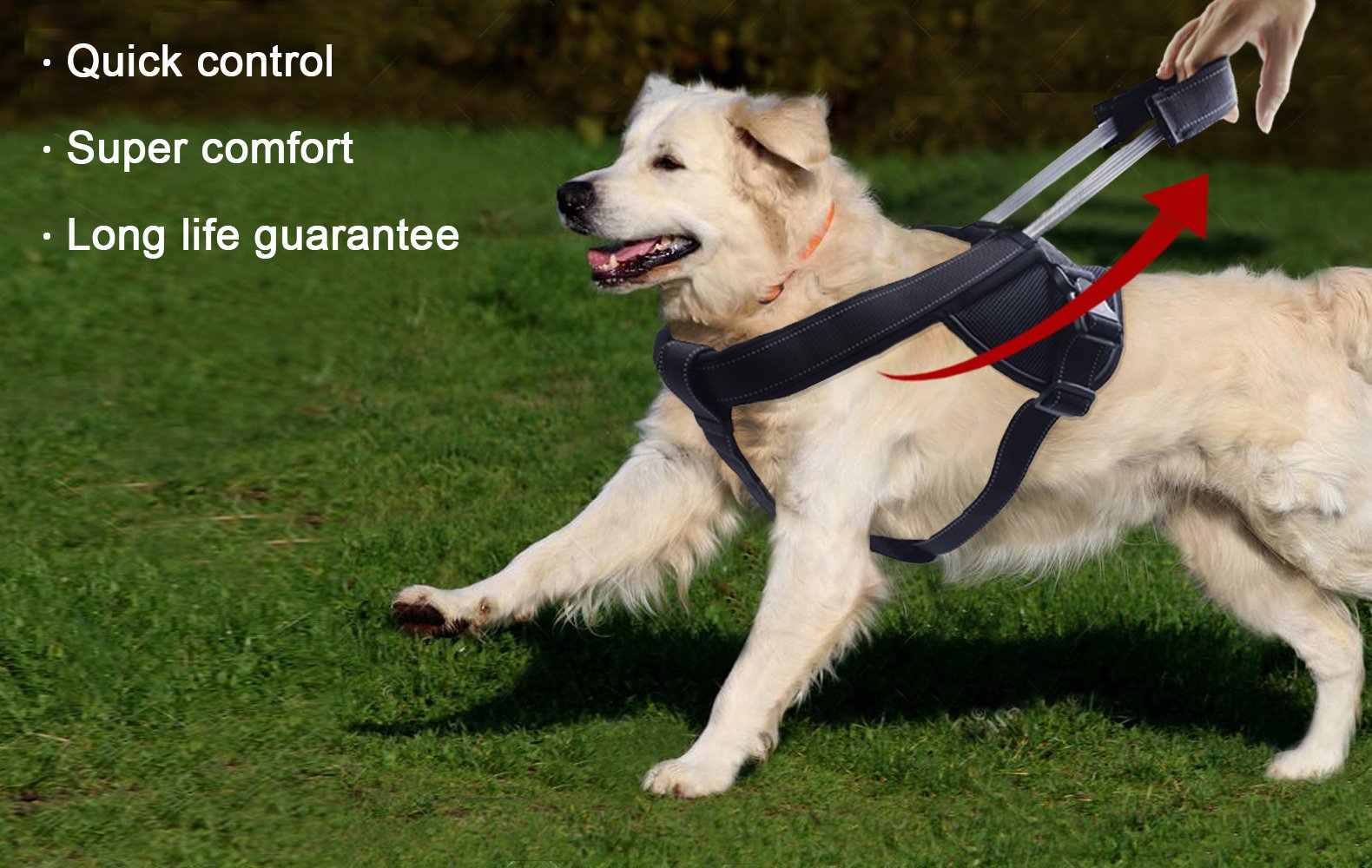 YOOGAO Pet arnés para paseos urbanos con seguridad en la ciudad