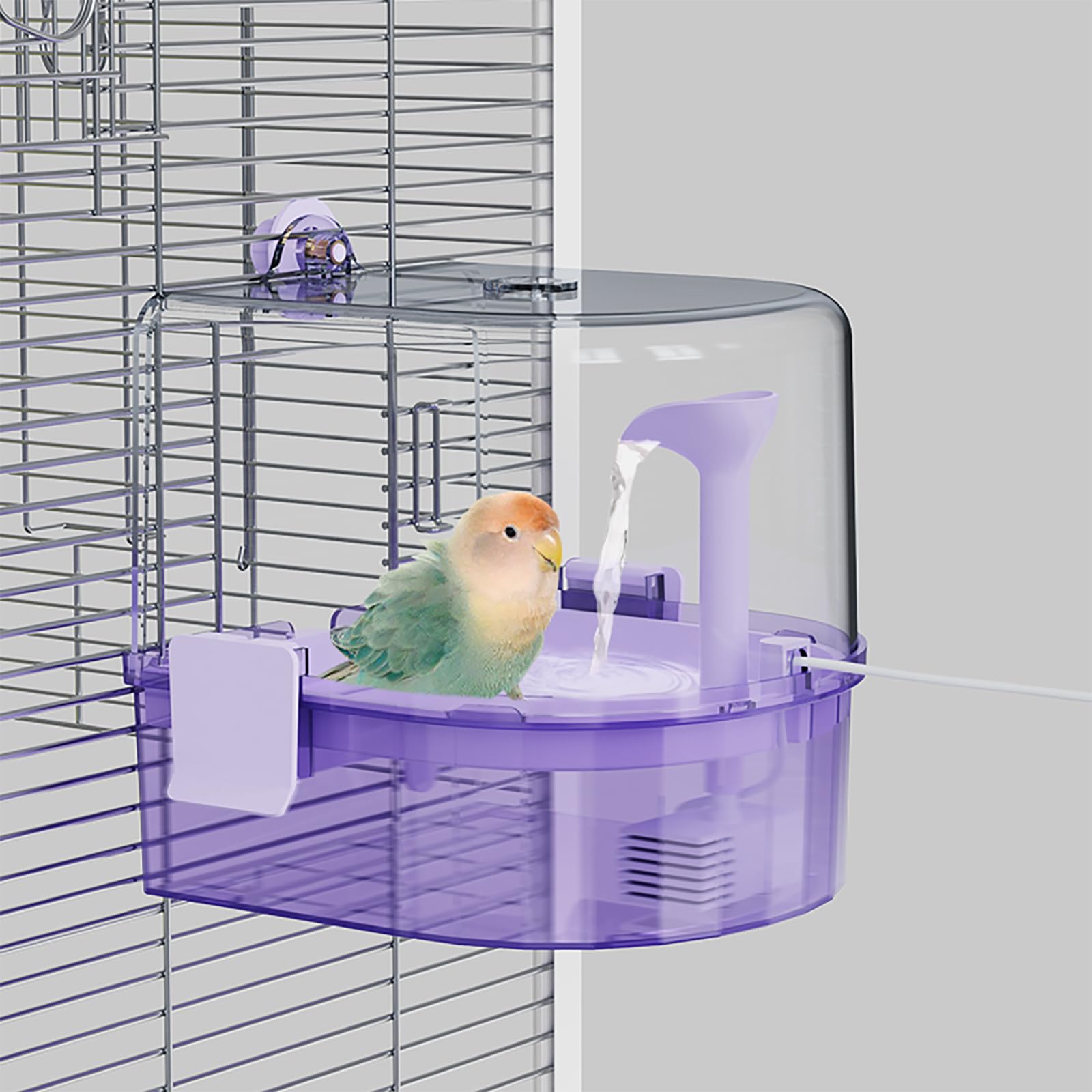 YOOSO WING baño automático para jaula: cómodo baño para aves.